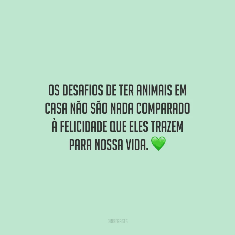 Os desafios de ter animais em casa não são nada comparado à felicidade que eles trazem para nossa vida.