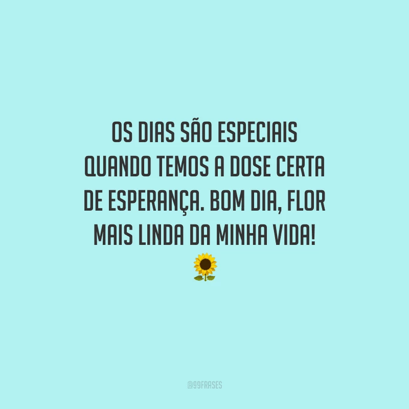 Os dias são especiais quando temos a dose certa de esperança. Bom dia, flor mais linda da minha vida! 