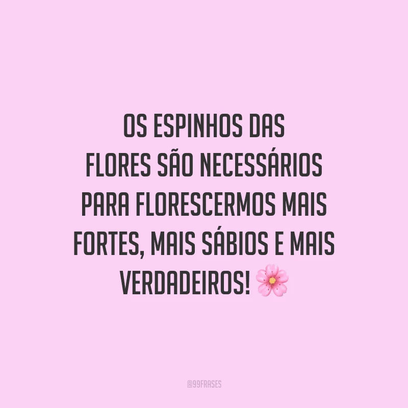 Os espinhos das flores são necessários para florescermos mais fortes, mais sábios e mais verdadeiros!