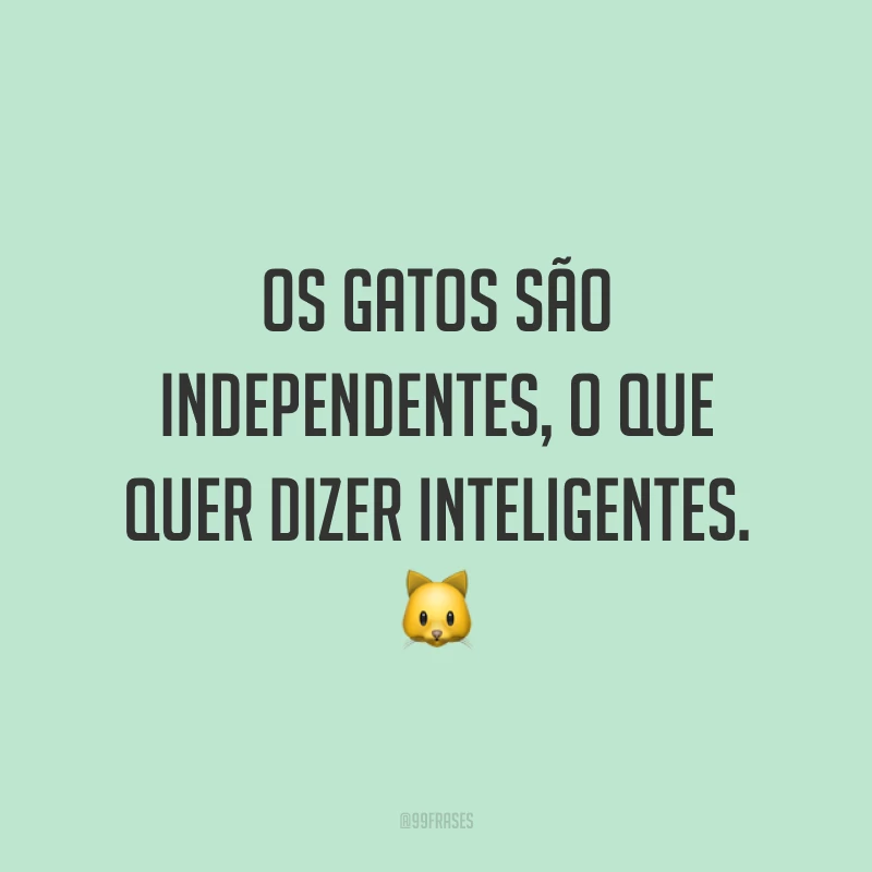Os gatos são independentes, o que quer dizer inteligentes. 🐱