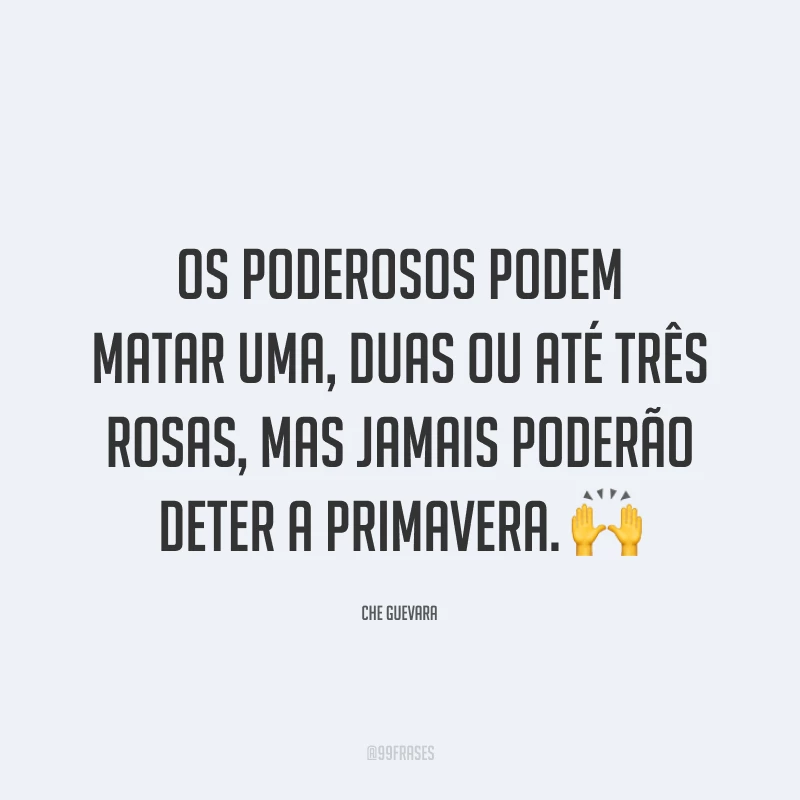 Os poderosos podem matar uma, duas ou até três rosas, mas jamais poderão deter a primavera. 🙌