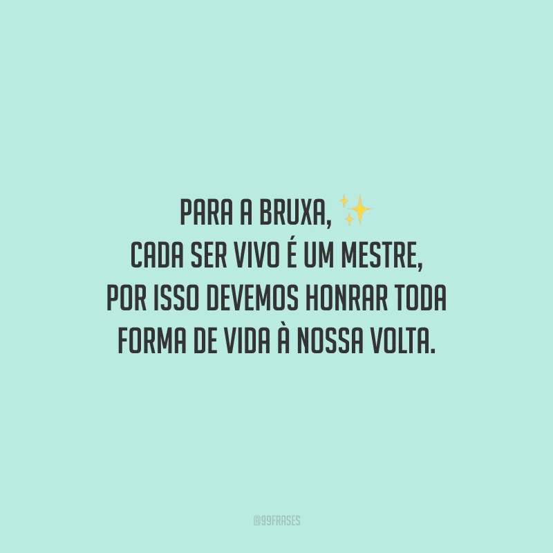 Para a bruxa, cada ser vivo é um mestre, por isso devemos honrar toda forma de vida à nossa volta. 