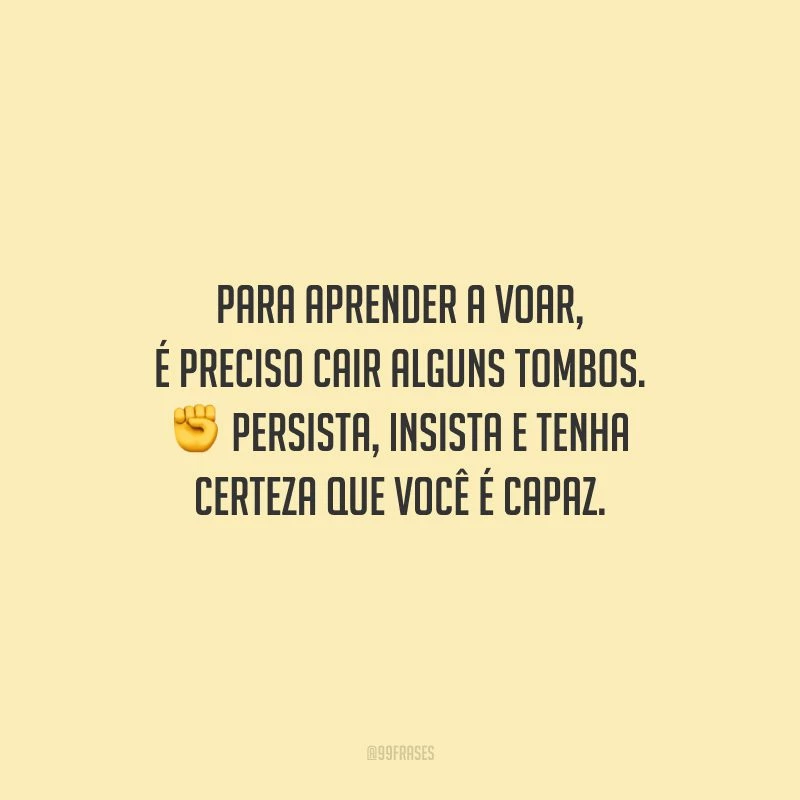 Para aprender a voar, é preciso cair alguns tombos. Persista, insista e tenha certeza que você é capaz.