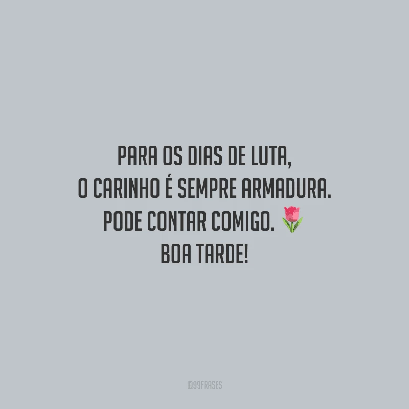 Para os dias de luta, o carinho é sempre armadura. Pode contar comigo. Boa tarde!
