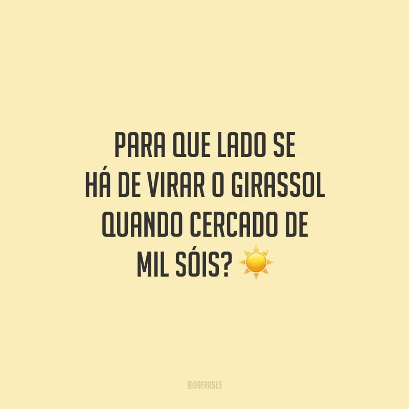 Para que lado se há de virar o girassol quando cercado de mil sóis?