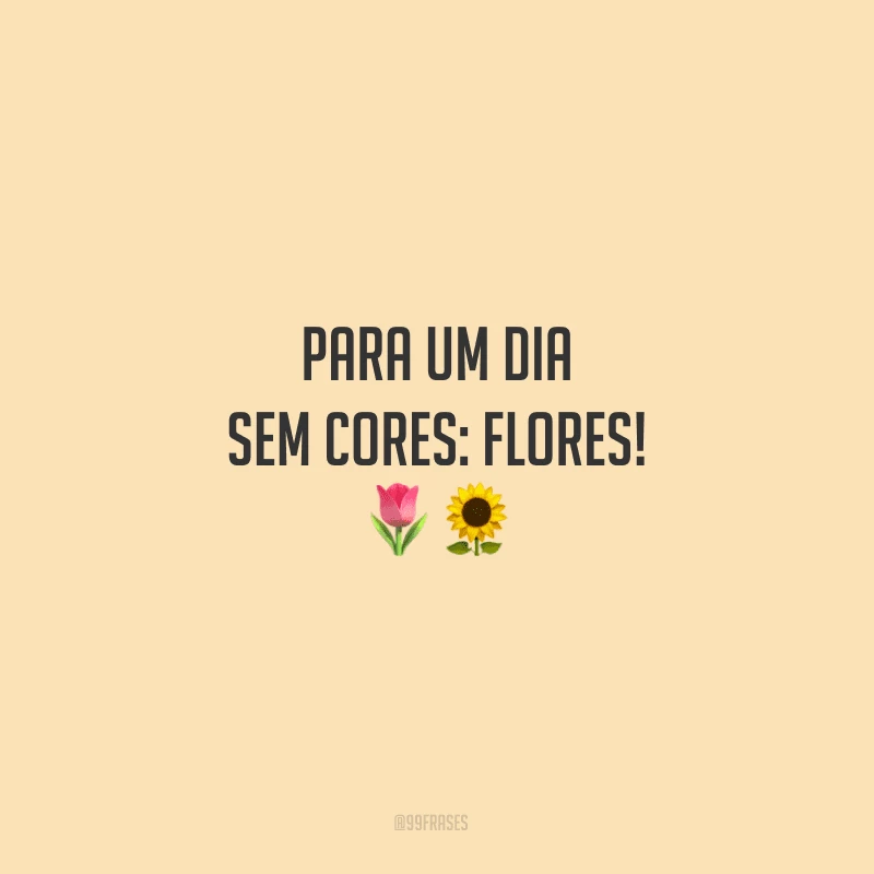 Para um dia sem cores: flores!