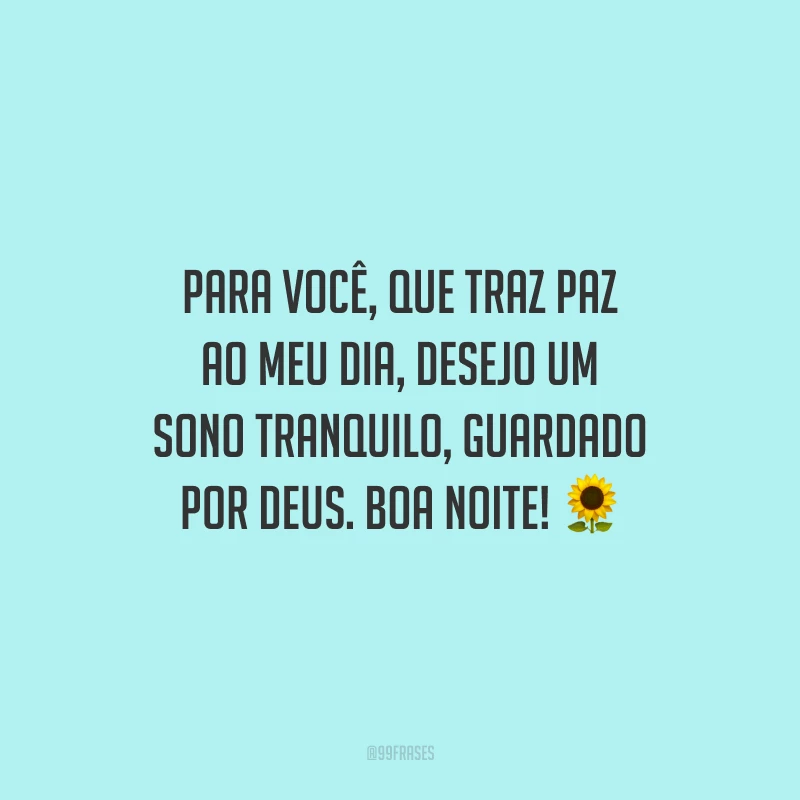 Para você, que traz paz ao meu dia, desejo um sono tranquilo, guardado por Deus. Boa noite!