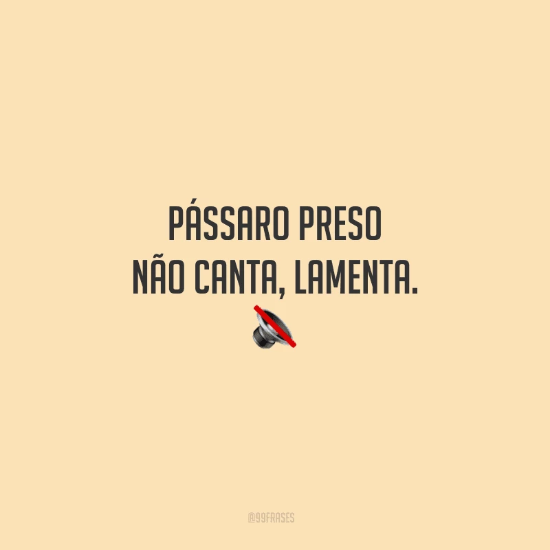 Pássaro preso não canta, lamenta.
