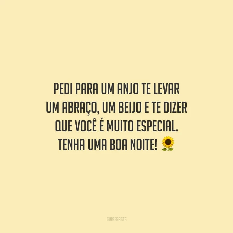 Pedi para um anjo te levar um abraço, um beijo e te dizer que você é muito especial. Tenha uma boa noite!