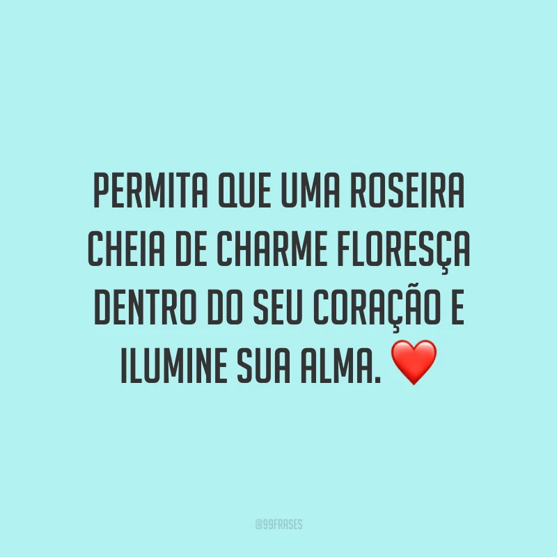 Permita que uma roseira cheia de charme floresça dentro do seu coração e ilumine sua alma. ❤️