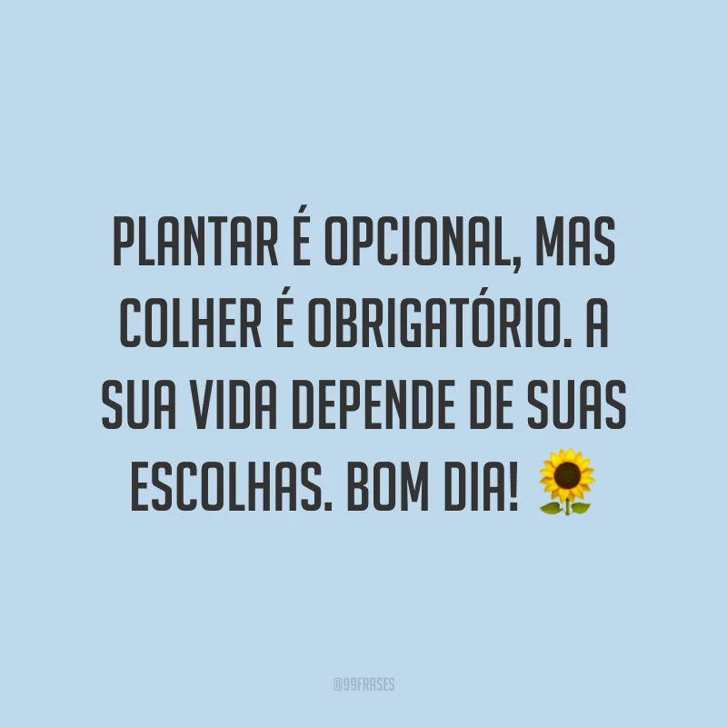 Plantar é opcional, mas colher é obrigatório. A sua vida depende de suas escolhas. Bom dia! ?