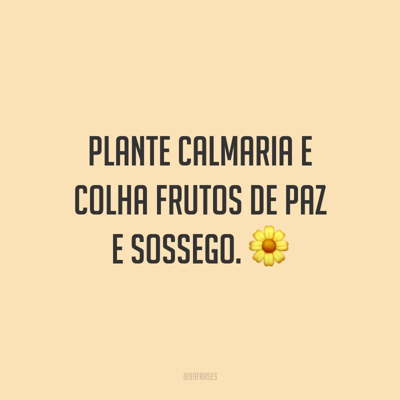 Plante calmaria e colha frutos de paz e sossego. 🌼