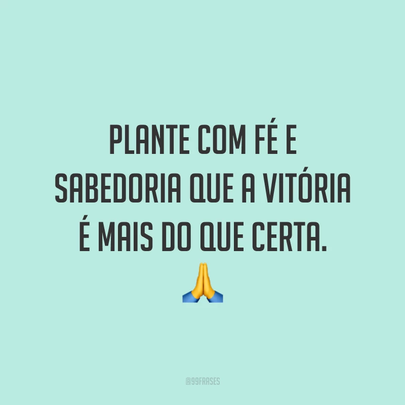 Plante com fé e sabedoria que a vitória é mais do que certa. 🙏
