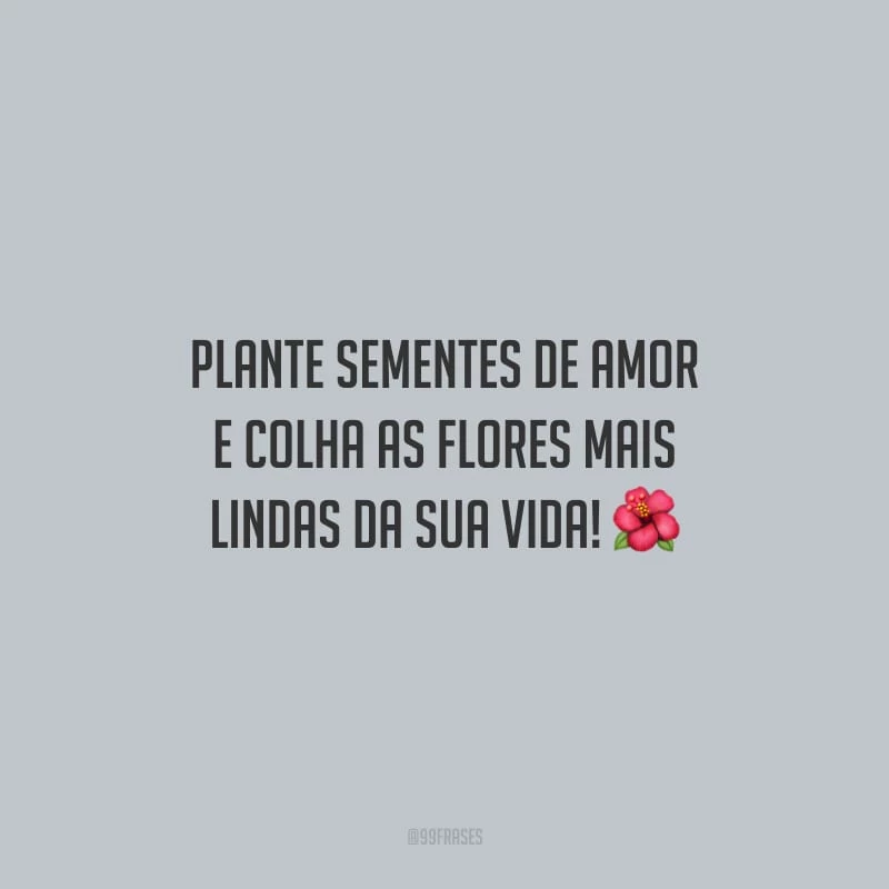 Plante sementes de amor e colha as flores mais lindas da sua vida!
