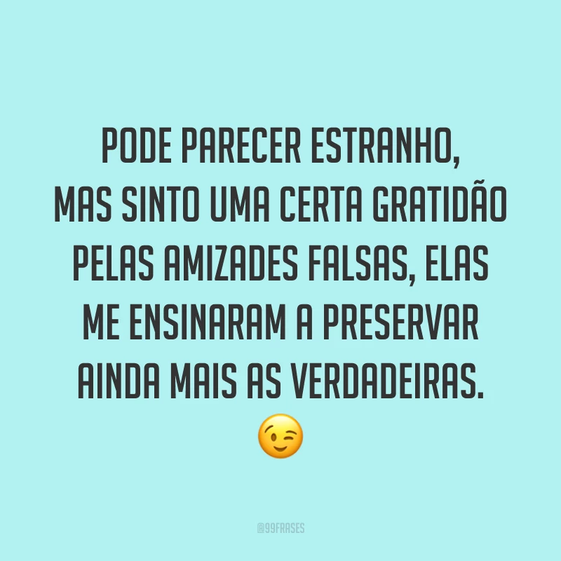 Pode parecer estranho, mas sinto uma certa gratidão pelas amizades falsas, elas me ensinaram a preservar ainda mais as verdadeiras. 😉