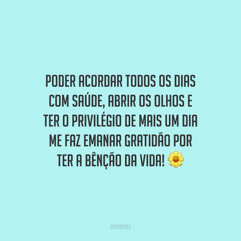Poder acordar todos os dias com saúde, abrir os olhos e ter o privilégio de mais um dia me faz emanar gratidão por ter a bênção da vida!