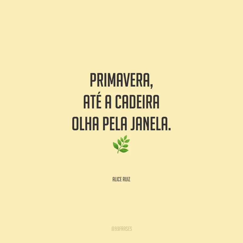 Primavera, até a cadeira olha pela janela. 