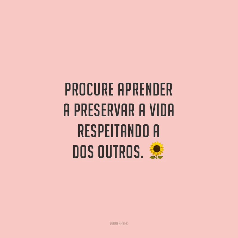 Procure aprender a preservar a vida respeitando a dos outros.