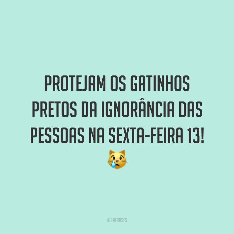 Protejam os gatinhos pretos da ignorância das pessoas na sexta-feira 13! 😿