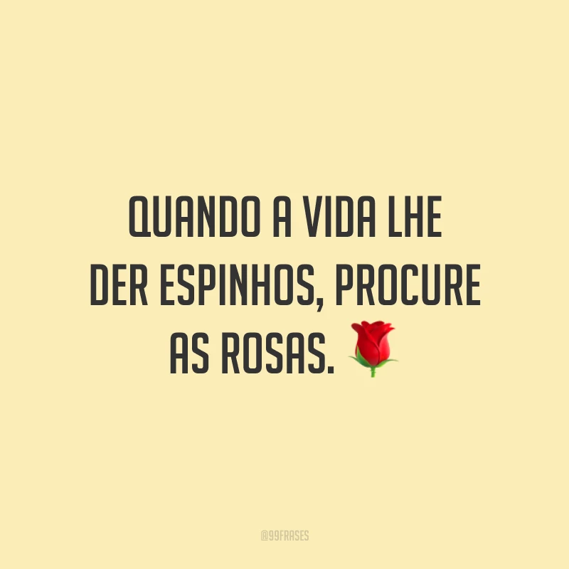 Quando a vida lhe der espinhos, procure as rosas. 🌹