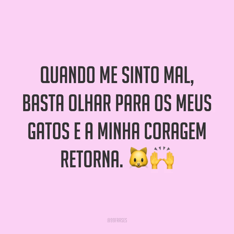 Quando me sinto mal, basta olhar para os meus gatos e a minha coragem retorna. 🐱🙌