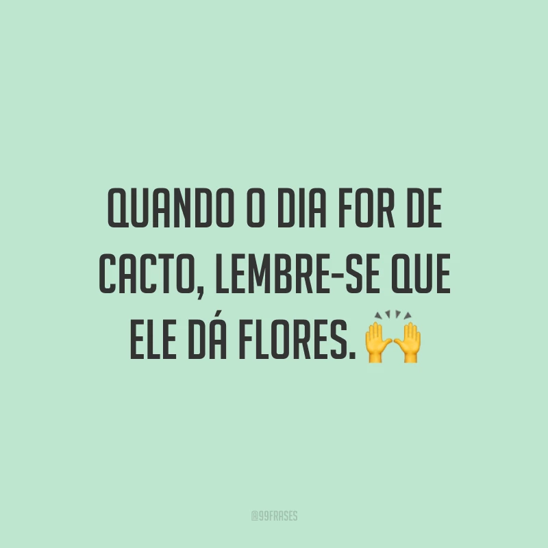 Quando o dia for de cacto, lembre-se que ele dá flores. ?