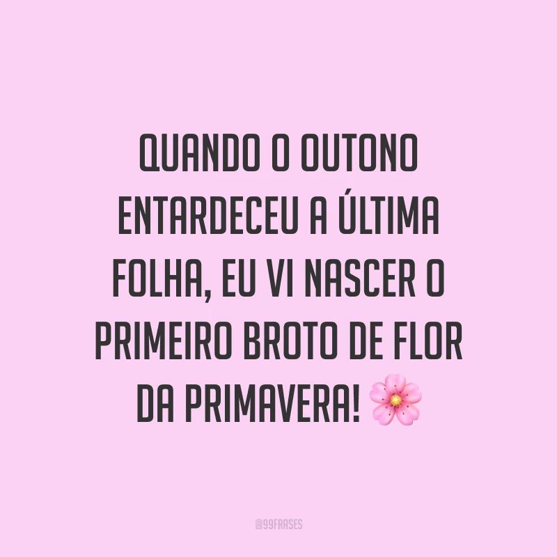 Quando o outono entardeceu a última folha, eu vi nascer o primeiro broto de flor da primavera! ?