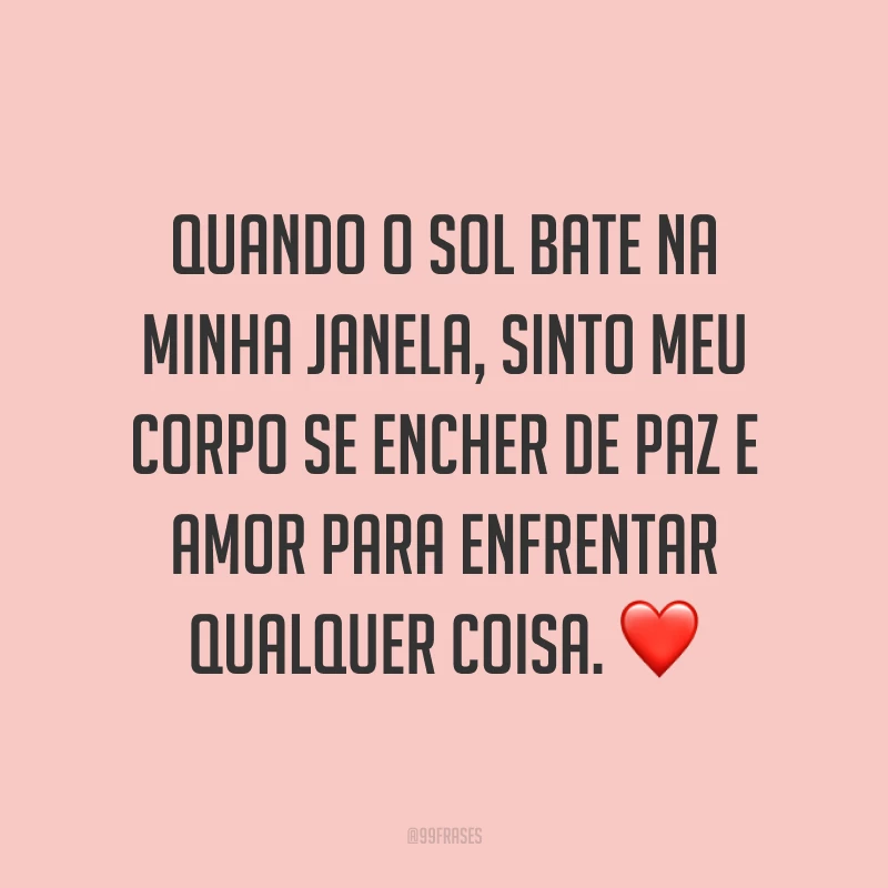 Quando o sol bate na minha janela, sinto meu corpo se encher de paz e amor para enfrentar qualquer coisa. ❤