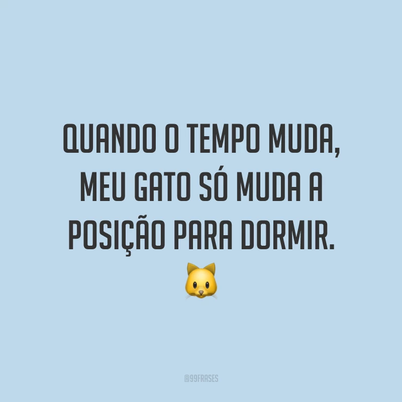 Quando o tempo muda, meu gato só muda a posição para dormir. 🐱