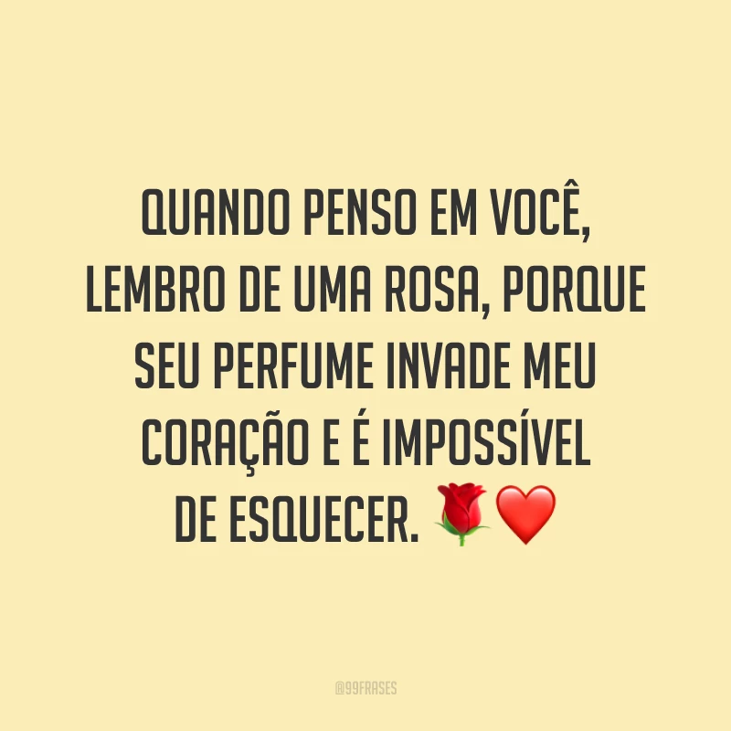 Quando penso em você, lembro de uma rosa, porque seu perfume invade meu coração e é impossível de esquecer. 🌹❤️