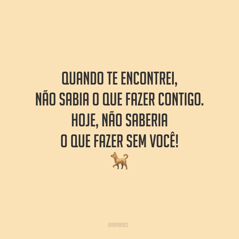 Quando te encontrei, não sabia o que fazer contigo. Hoje, não saberia o que fazer sem você!