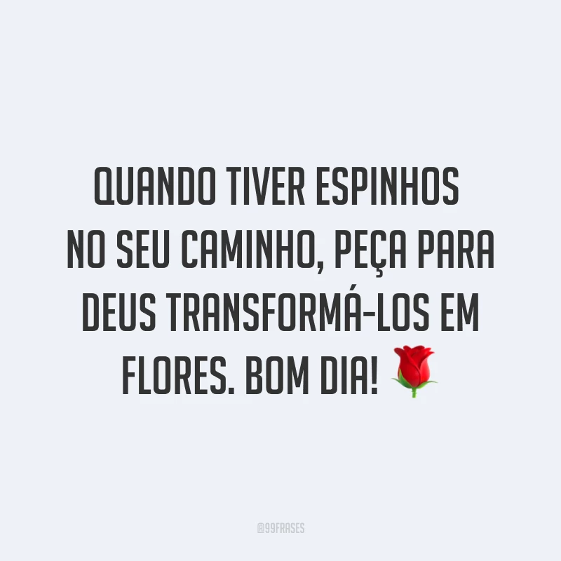Quando tiver espinhos no seu caminho, peça para Deus transformá-los em flores. Bom dia! ?