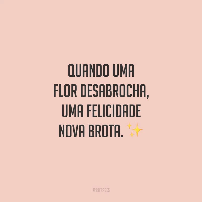 Quando uma flor desabrocha, uma felicidade nova brota. 