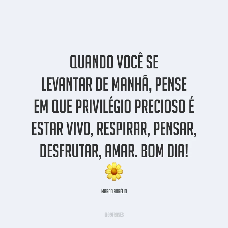 Quando você se levantar de manhã, pense em que privilégio precioso é estar vivo, respirar, pensar, desfrutar, amar. Bom dia! 🌼