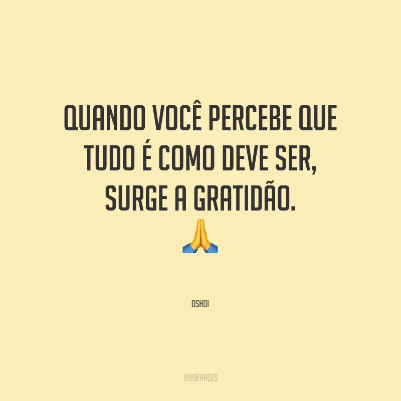 Quando você percebe que tudo é como deve ser, surge a gratidão.
