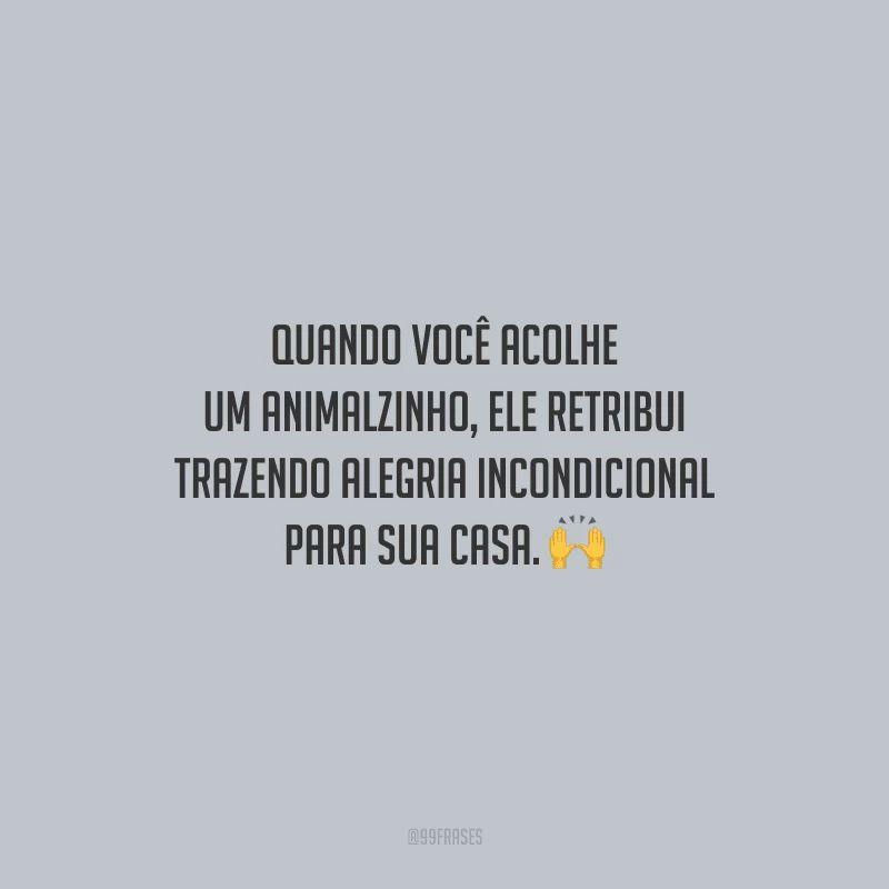 Quando você acolhe um animalzinho, ele retribui trazendo alegria incondicional para sua casa.