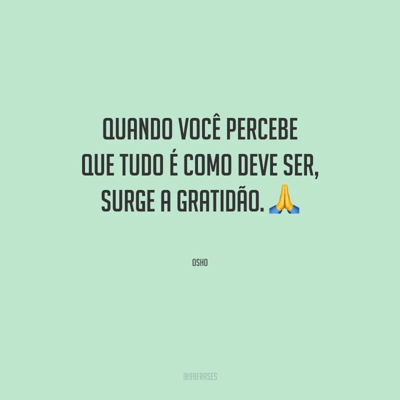 Quando você percebe que tudo é como deve ser, surge a gratidão.