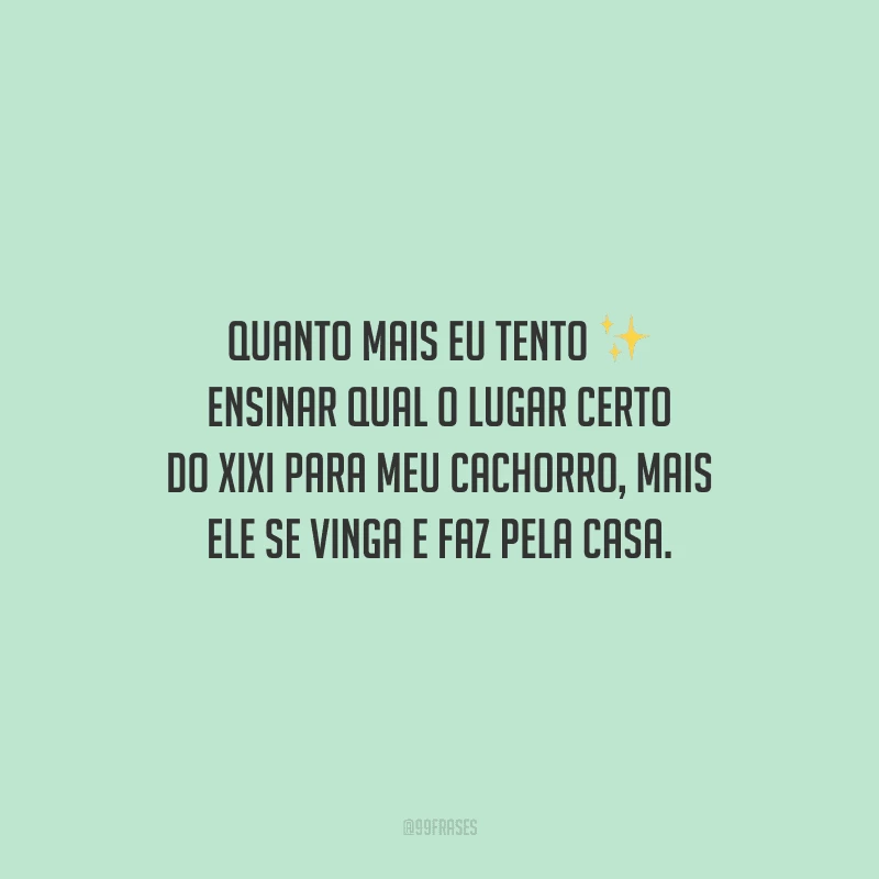 Quanto mais eu tento ensinar qual o lugar certo do xixi para meu cachorro, mais ele se vinga e faz pela casa.