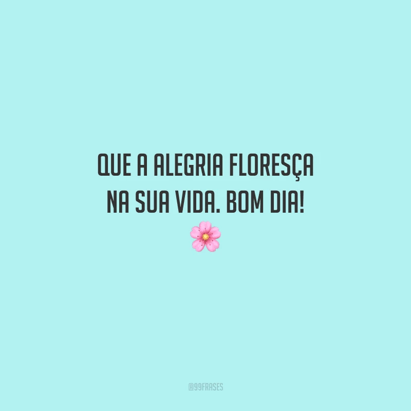 Que a alegria floresça na sua vida. Bom dia! 