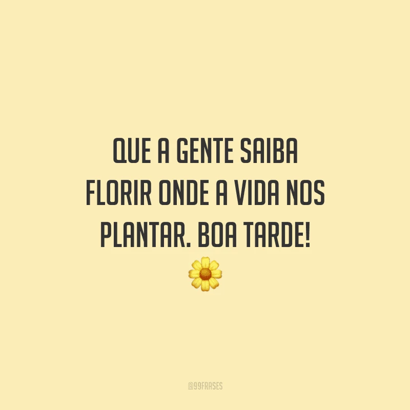 Que a gente saiba florir onde a vida nos plantar. Boa tarde!