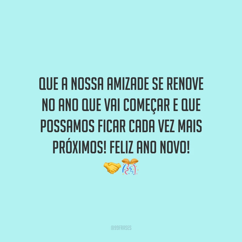 Que a nossa amizade se renove no ano que vai começar e que possamos ficar cada vez mais próximos! Feliz Ano Novo!