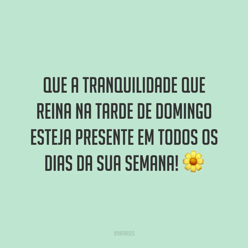 Que a tranquilidade que reina na tarde de domingo esteja presente em todos os dias da sua semana!