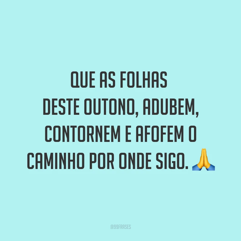 Que as folhas deste outono, adubem, contornem e afofem o caminho por onde sigo. ?