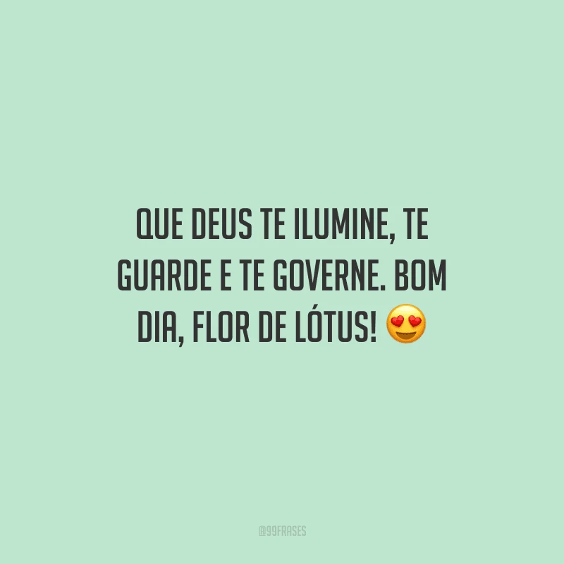 Que Deus te ilumine, te guarde e te governe. Bom dia, flor de lótus! 