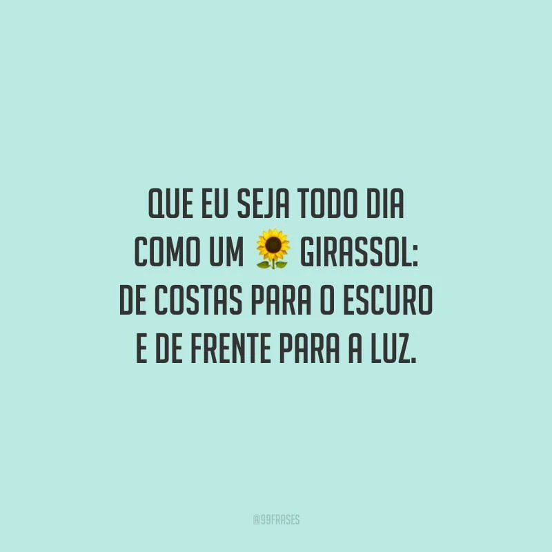 Que eu seja todo dia como um girassol: de costas para o escuro e de frente para a luz.