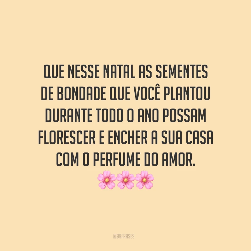 Que nesse Natal as sementes de bondade que você plantou durante todo o ano possam florescer e encher a sua casa com o perfume do amor.
