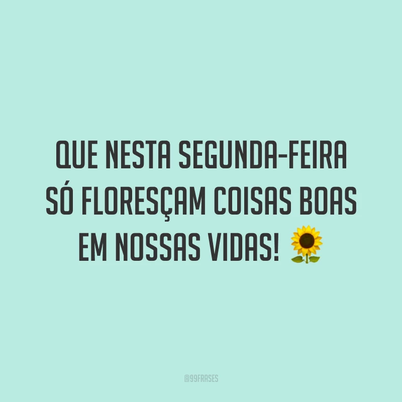 Que nesta segunda-feira só floresçam coisas boas em nossas vidas! 🌻