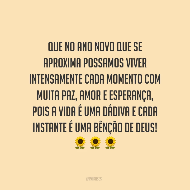 Que no Ano Novo que se aproxima possamos viver intensamente cada momento com muita paz, amor e esperança, pois a vida é uma dádiva e cada instante é uma bênção de Deus!