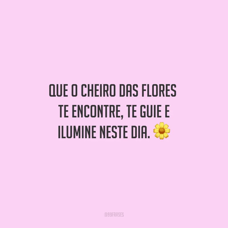Que o cheiro das flores te encontre, te guie e ilumine neste dia. 
