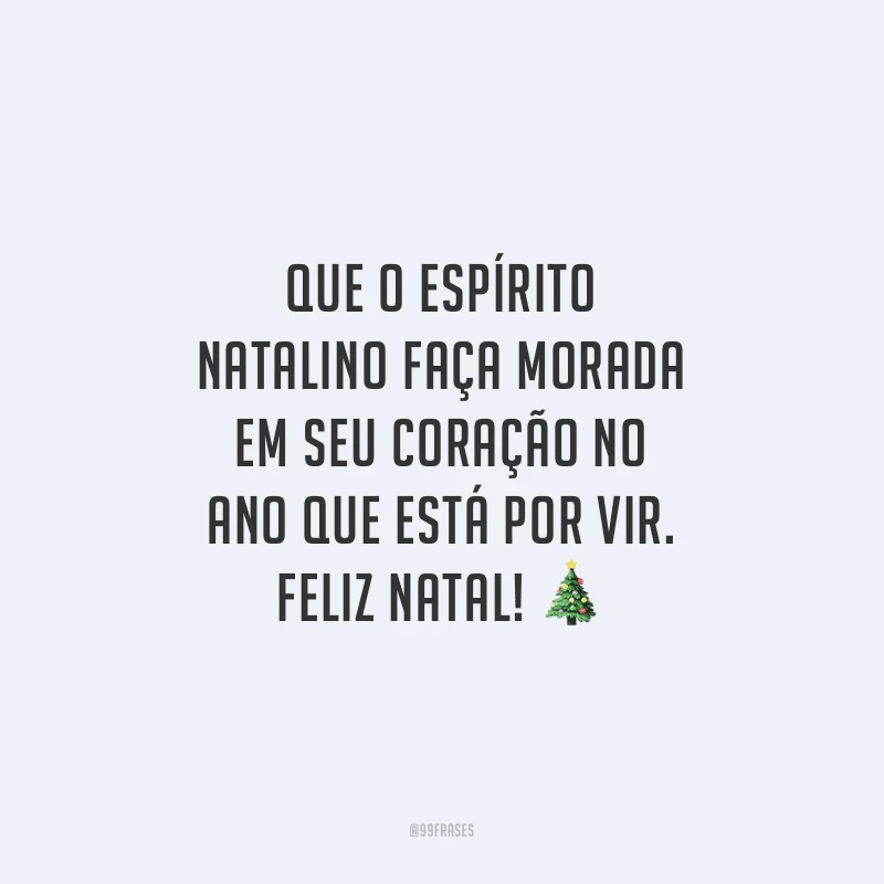 Que o espírito natalino faça morada em seu coração no ano que está por vir. Feliz Natal!